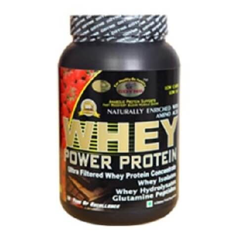 GDYNS Whey Power Protein, 0.46 lb Choco GDYNS Whey Power Protein, 0.46 lb Choco
