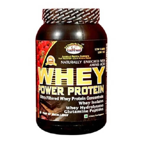 GDYNS Whey Power Protein, 1.1 lb Choco