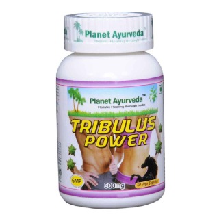 Planet Ayurveda Tribulus Power (500 mg), 60 veggie capsule(s)