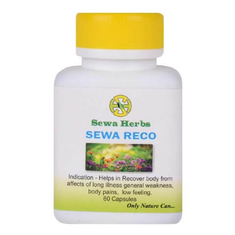 Sewa Herbs Reco, 60 capsules Sewa Herbs Reco, 60 capsules
