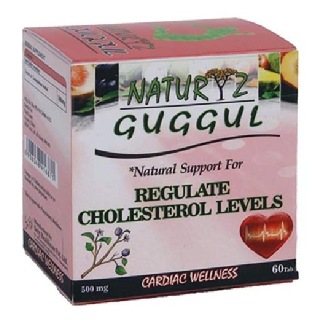 Naturyz Guggul, 60 capsules