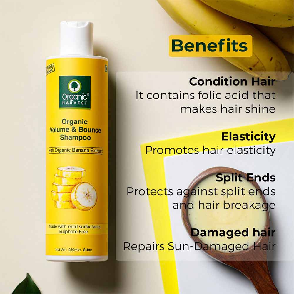 2 - Organic Harvest Organic Volume & Bounce Shampoo,  250 ml  for All Types of Hair 