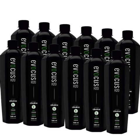 1 - Evocus H2O Black Alkaline Water Enriched with 70+ Natural Minerals 8+ pH, 500 ml Unflavoured (Pack of 12)