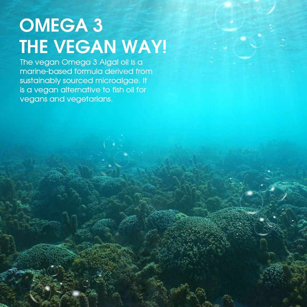 3 - Origins Nutra Vegan Omega 3 DHA & EPA Algal Oil 500mg,  30 softgels 