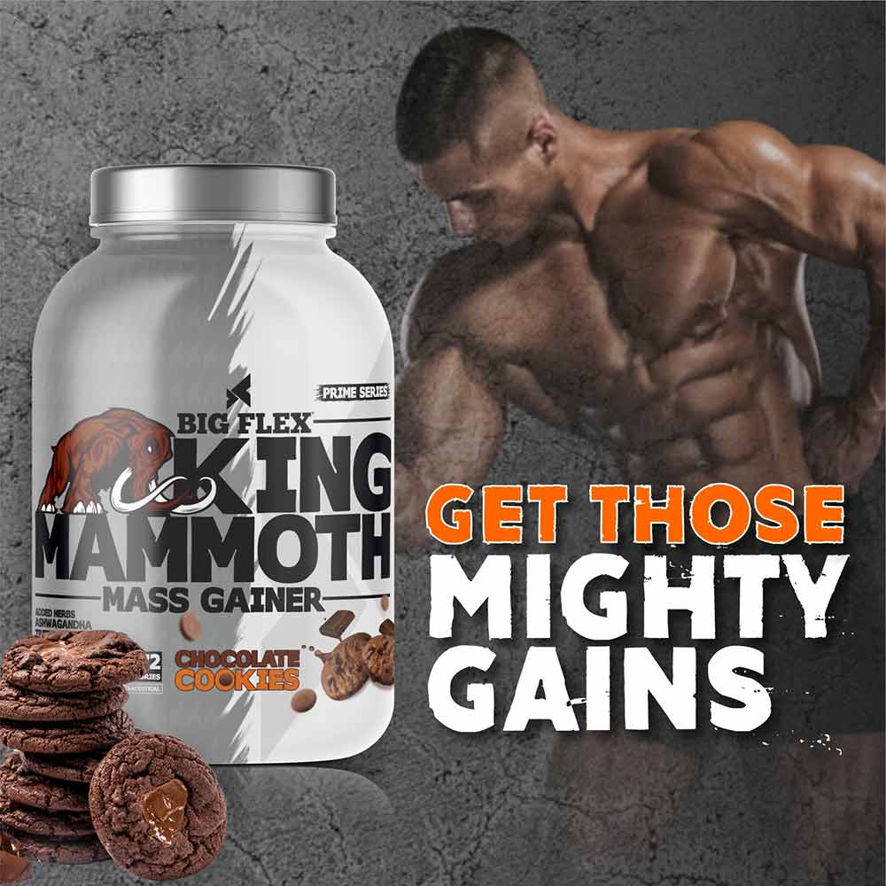 4 - Big Flex King Mammoth Mass Gainer,  6.6 lb  Chocolate Cookies 