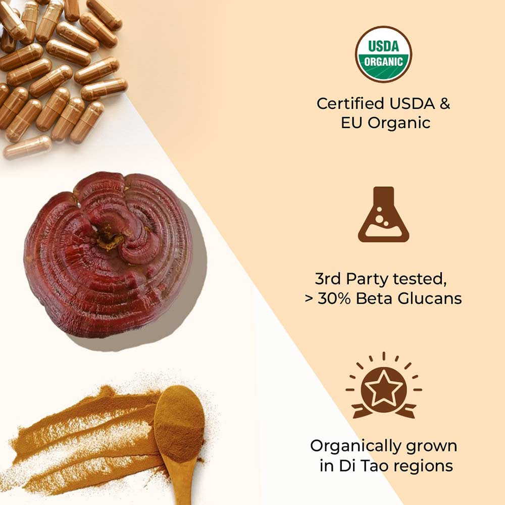 6 - Rooted Active Naturals Reishi Organic Mushroom Extract,  90 veggie capsule(s) 