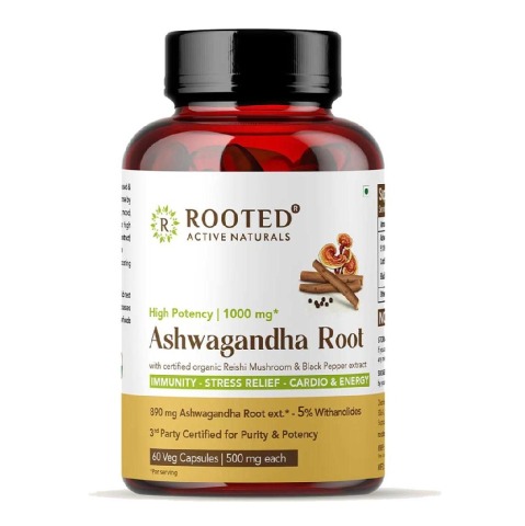 1 - Rooted Active Naturals Ashwagandha Root with with Reishi Mushroom Extract,  60 veggie capsule(s) 