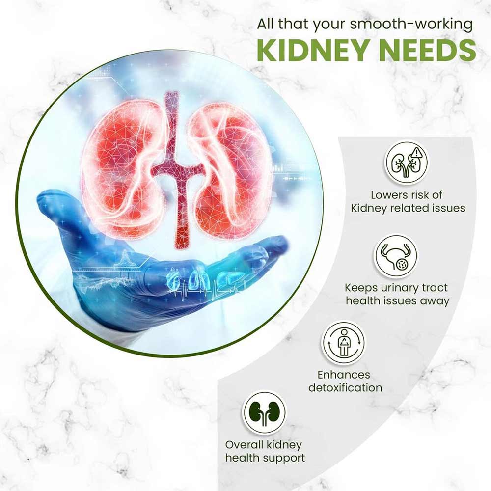 4 - Himalayan Organics Plant Based Kidney Detox,  60 tablet(s) 