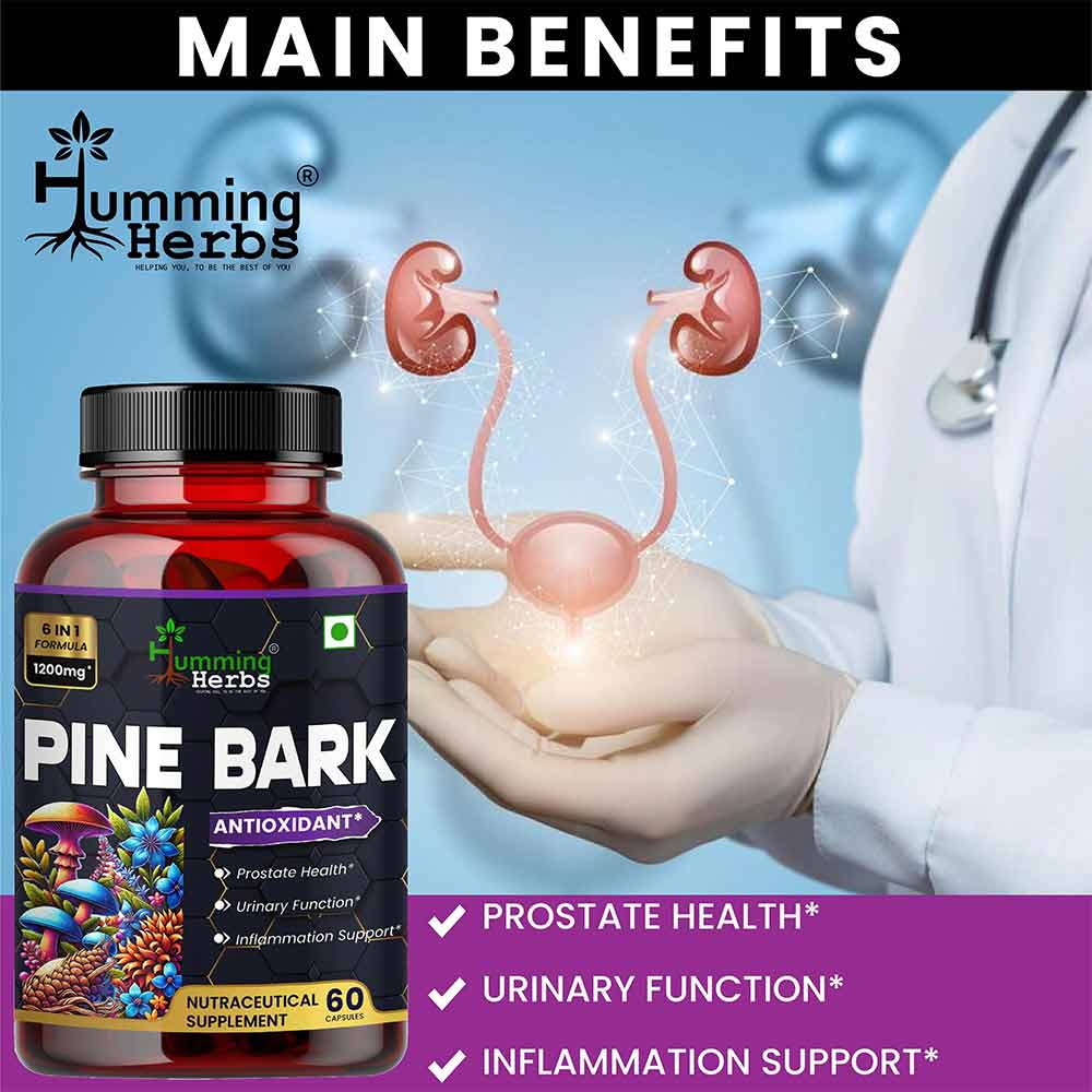 5 - Humming Herbs Pine Bark Extract 1200mg,  60 capsules 