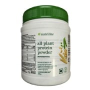 acorn squash plant 50 TABLE KING Acorn SQUASH Winter or Summer Cucurbita Maxima Vegetable   Seedville USA