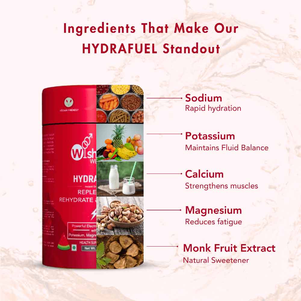 2 - WishNew Wellness Hydrafuel Instant Drink Mix,  20 sachets/pack  Strawberry & Watermelon (Pack of 2) 