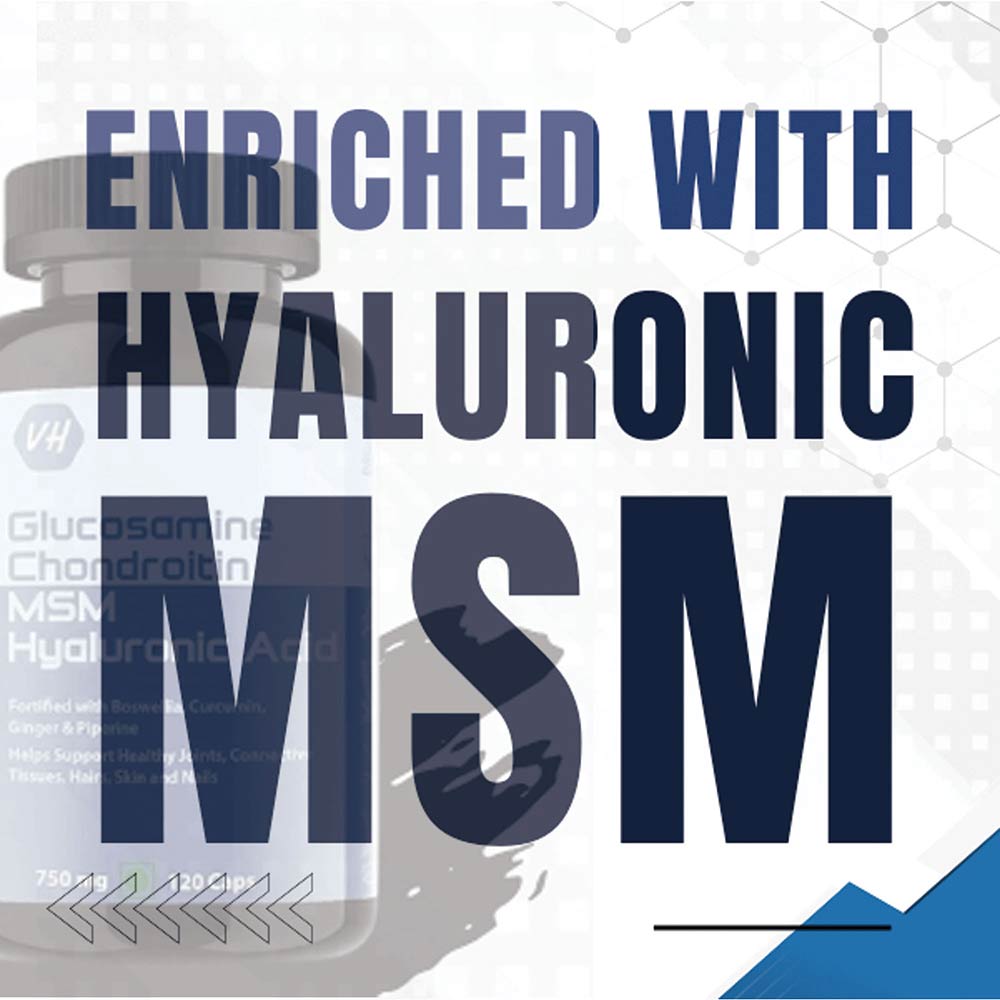 4 - Vitaminhaat Glucosamine Chondroitin MSM Hyaluronic Acid,  120 capsules 