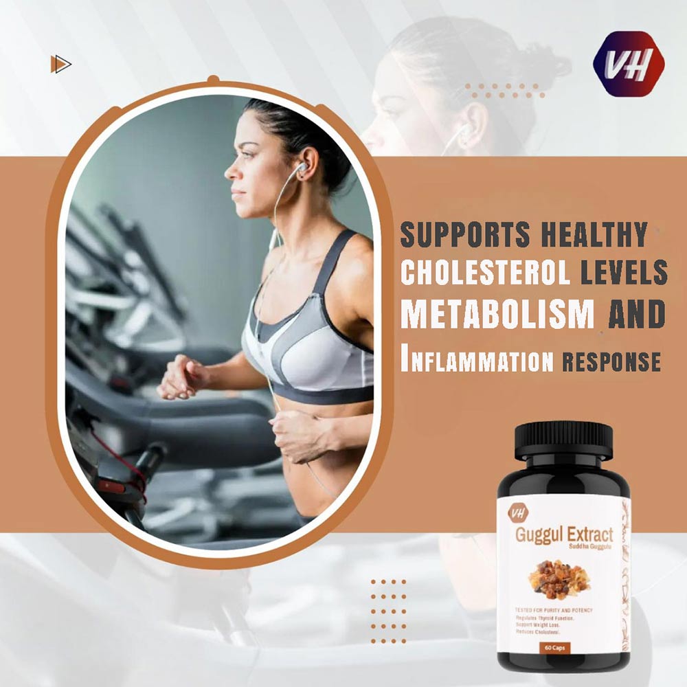 2 - Vitaminhaat Guggul Extract Suddha Guggulu,  60 capsules 