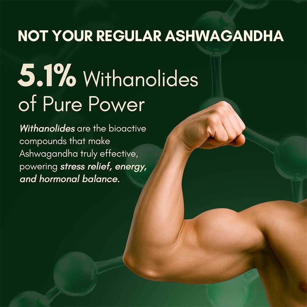 9 - Rasayanam Ashwagandha KSM-66,  60 capsules 