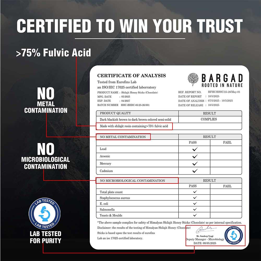 2 - Bargad Himalayan Shilajit Honey Sticks Dark Chocolate Flavour,  30 Stick(s) 