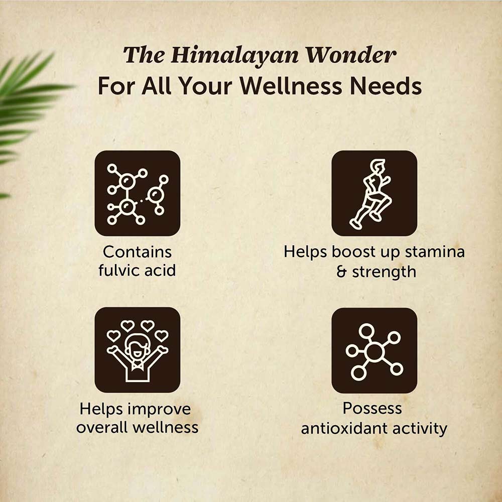 4 - Neuherbs Pure Himalayan Shilajit,  20 g 