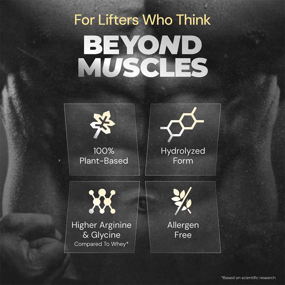 3 - Nutrabay Gold Pea Protein,  0.09 lb  French Vanilla (Single Serve) 