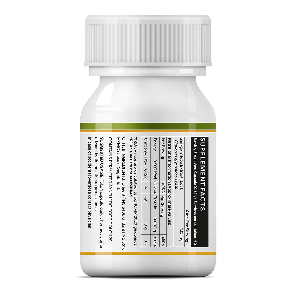 2 - INLIFE Ginkgo Biloba Extract 120 mg,  60 veggie capsule(s) 