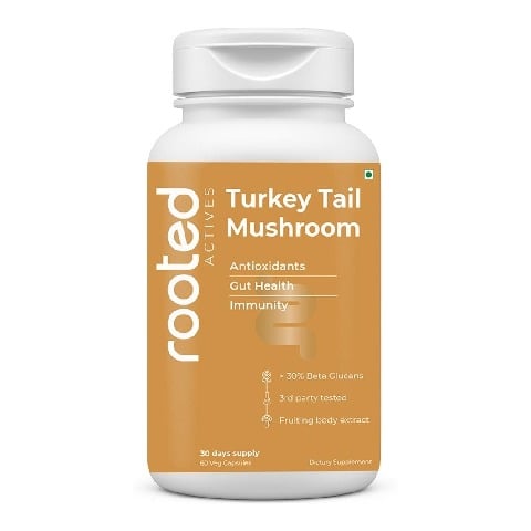1 - Rooted Active Naturals Turkey Tail Organic Mushroom Extract, 60 veggie capsule(s)