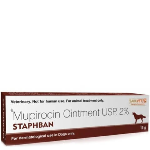 Sava Healthcare Stapban Ointment,  Skin Care  15 gm 