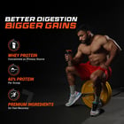 9 - Fuel One Whey Protein Powder,  4.4 lb  Rich Chocolate 