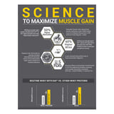 https://img10.hkrtcdn.com/44125/prd_4412499-MuscleBlaze-Biozyme-IsoZero-4.4-lb-Low-Carb-Cookies-Cream_o.jpg