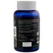 back - Alvizia Green Tea Extract,  60 softgels  Unflavoured 