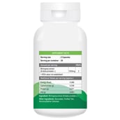 supplementinfo - Billion Cheers Bhringaraj Extract,  60 capsules 