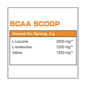 supplement - Protein Scoop BCAA,  0.66 lb  60 Servings  Unflavoured 