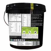 Back - Big Flex Prime Muscle Mass Gainer,  13.2 lb  Chocolate Cookies + Bigflex Shaker 700 ml Free 