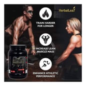 Benefit - HerbalLeaf Creatine Monohydrate, Strawberry 1.1 lb