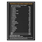 Supplement1 - MyFitFuel MFF Micellar Casein,  2.2 lb  Chocolate Silk 