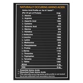 Supplement1 - MyFitFuel MFF Micellar Casein,  4.4 lb  Chocolate Silk 