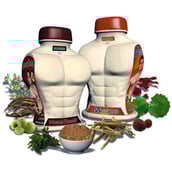 Deemark Mass Gainer & Muscle Builder (Combo Pack), 2 kg