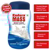 Endura Mass,  1.1 lb  Vanilla 