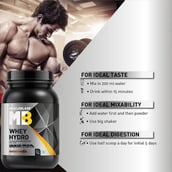 Benefits - MuscleBlaze Whey Hydro,  2.2 lb  Chocolate 