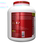 description - Maxn Mass Gainer,  6 lb  Mango 