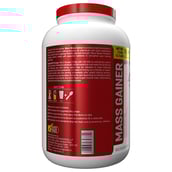 description - Maxn Mass Gainer,  3.3 lb  Café Latte 