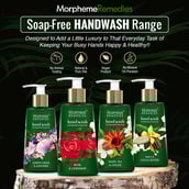 Benefits - Morpheme Remedies Hand Wash,  Lemongrass & Lavender  250 ml  Anti Bacterial 