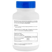 supplementinfo - Healthvit Boswellia Turmeric Extract (500 mg),  60 capsules 