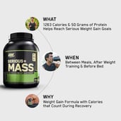 description - ON (Optimum Nutrition) Serious Mass,  6 lb  Banana 