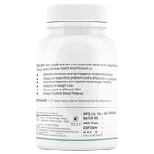 benefits - Raaj Ayurvedic Pharmacy Giloy Tulsi,  60 tablet(s) 