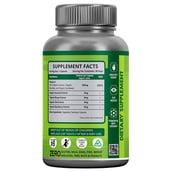 supplementinfo - Nutrainix Plant Based Vitamin D3,  120 capsules 