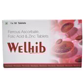 2 - Live Well Inc Welhib Iron Supplemet, 10 tablet(s)