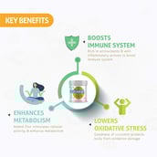 KeyBenefits - HealthKart Easy Haldi, 0.22 lb Unflavoured