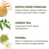 benfits - Akiva Green Tea Apple Cider Vinegar Pack of 15, 40 ml Natural