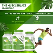 9 - MuscleBlaze Ayurveda for Performance - MuscleHerb with Ashwagandha, Shatavari & Safed Musli,  30 tablet(s)  Unflavoured 