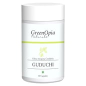 1 - GreenOpia Guduchi, 60 capsules