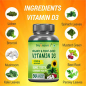 3 - Nutrainix Plant Based Vitamin D3,  120 capsules 