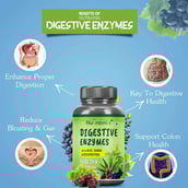 1 - Nutrainix Digestive Enzymes,  90 tablet(s) 